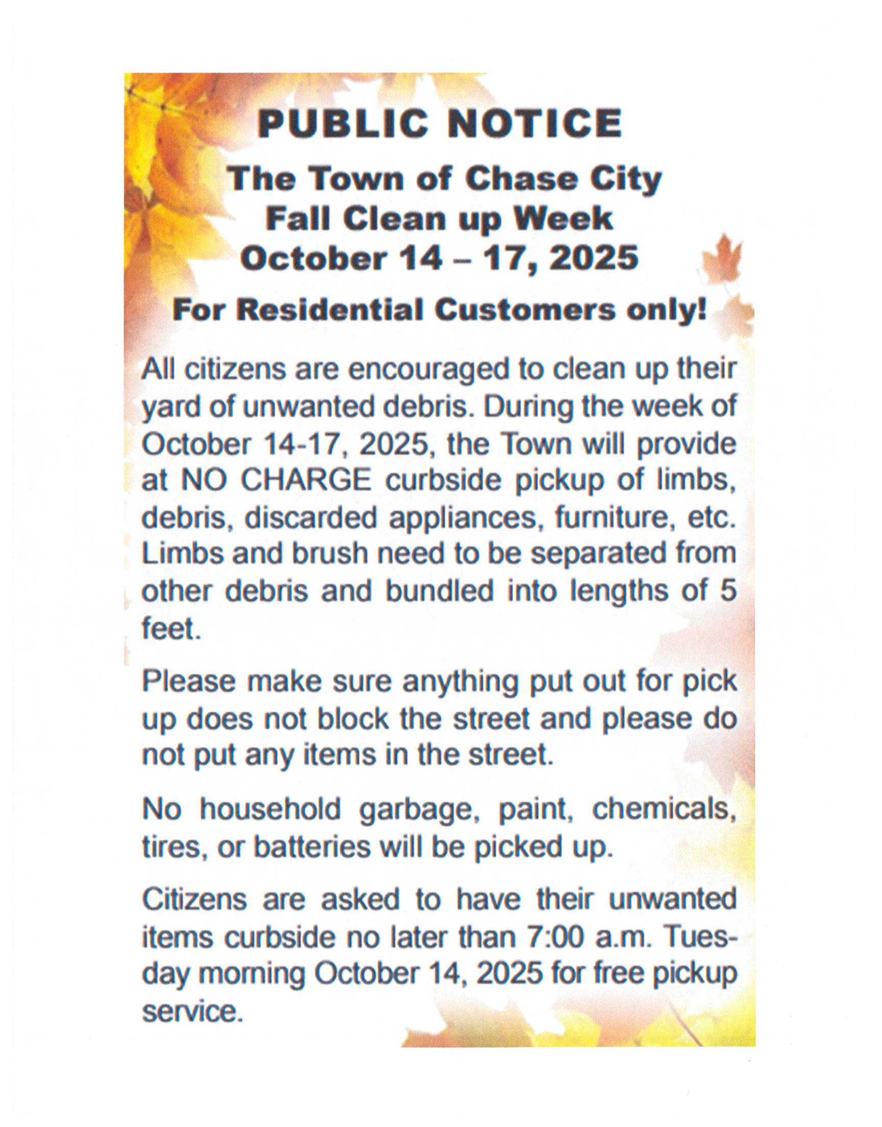Town Fall Cleanup 2025